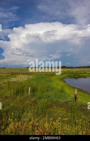 Dramatic clouds over a farmer's field in northern Wisconsin. Stock Photo