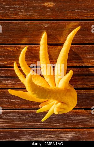 Ripe yellow Buddha's hand citron, top view. Close-up on fresh lemon on wood table, daylight. Citrus sarcodactylis or the fingered citron fruit. Stock Photo