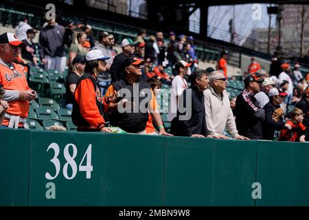 New York Yankees fans Jennifer Stanbrough, right, and Gina Baker, from  Rochester, N.Y., watch batting practice prior to the spring baseball game  between the New York Yankees and the Houston Astros Wednesday