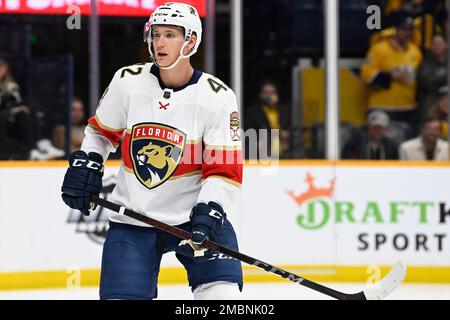 Florida Panthers defenseman Gustav Forsling (42) is congratulated by left  wing Grigori Denisenko (14) after Forsling scored during the third period  of an NHL hockey game against the Minnesota Wild, Saturday, Jan.