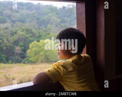 boy looking out window looking at the green forest Stock Photo