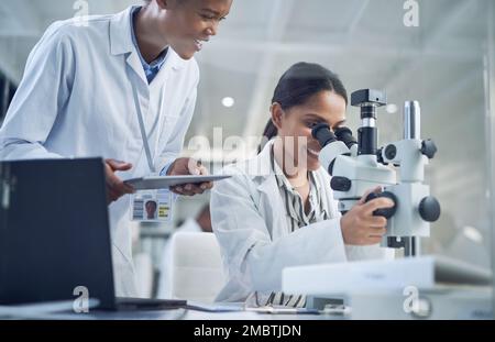 Busy with a day of experiments and observations. two scientists working together in a lab. Stock Photo