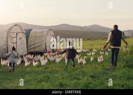What childhood dreams are made of. Rearview shot of a man and his two adorable children exploring a chicken farm. Stock Photo