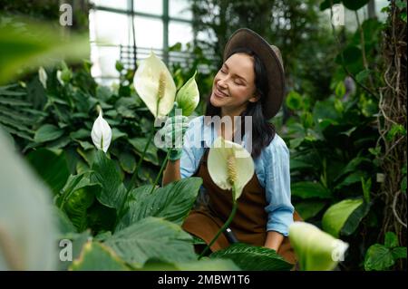 Portrait of young woman gardener admiring blooming callas Stock Photo