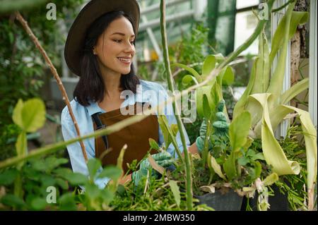 Charming young woman gardener in overalls view through lush foliage Stock Photo