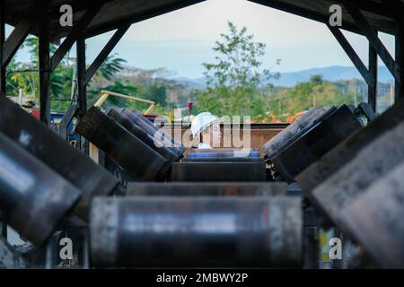 Mining engineer wearing a white helmet surveying her work place. Stock Photo