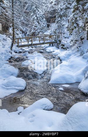 Snowy winter landscape with a wooden bridge on tourist trail through a narrow gorge with wild stream. The Mala Fatra national park in Slovakia, Europe Stock Photo