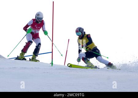 Veronika Aigner of Austria and guide Elisabeth Aigner celebrate