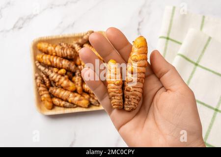 Raw curcuma rhizomes on the palm. Woman hand holds fresh turmeric roots closeup. Curcuma longa plant for cooking and ayurvedic medicine. Organic spice Stock Photo