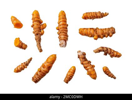 Set of raw curcuma rhizomes cutout macro. Whole organic turmeric roots variety isolated on a white background. Curcuma longa as antioxidant and spice. Stock Photo