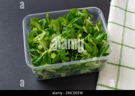 Corn salad leaves or mache in a plastic food container on a black backgrond. Low calories ingredient lambs lettuce for vitamin vegetable salads. Stock Photo