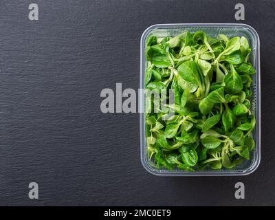 Lambs lettuce in a rectangular food container over black slate background. Fresh corn salad leaves or mache for vitamin vegetable salad. Low calories. Stock Photo