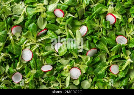 Fresh lambs lettuce and radish background. Sliced radish on green corn salad leaves or mache texture. Low calories ingredients of vitamin vegan salad. Stock Photo