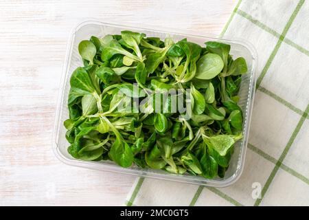 Lambs lettuce leaves in a plastic food container on wooden table. Corn salad or mache for vitamin vegetable salad recipe. Low calories vegetarian food Stock Photo