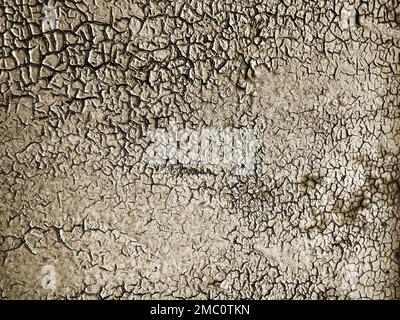 grunge old overdried weathered texture Stock Photo