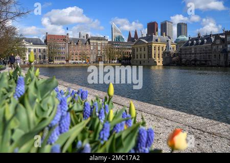 Museum Mauritshuis at the Hofvijver, Hofweiher, in the background the modern skyline, The Hague, Holland, Netherlands Stock Photo