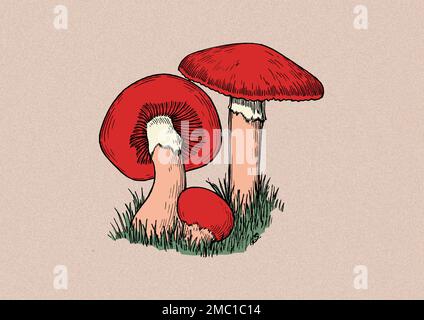Concept Vintage Art of Red Mushrooms illustration Stock Photo