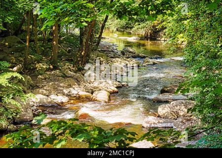 Bodetal Excursion Destination in the Harz Mountains Saxony-Anhalt Stock Photo