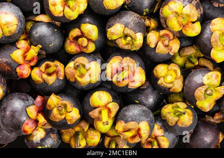 Top view closeup of fresh mangosteen background, queen of tropical fruit and delicious in Thailand Stock Photo