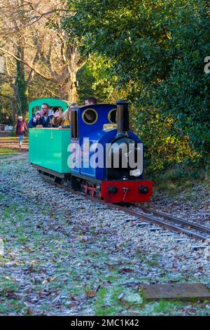 Poole, Dorset UK. 21st January 2023. UK weather: Bitterly cold frosty morning at Poole doesn't deter families enjoying a ride on the miniature train railway going around Poole Park lake in the sunshine. Credit: Carolyn Jenkins/Alamy Live News Stock Photo