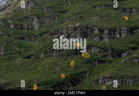 Synclinal fold outcrops in the mountains of Serra do Courel, Lugo ...
