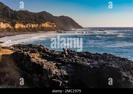 View of rocky coast from Strawberry Hill Wayside looking out on the Pacific Ocean on the Oregon Coast, USA Stock Photo