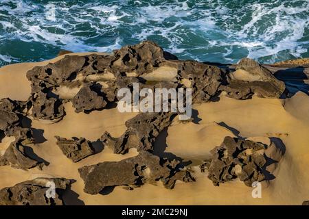 Honeycomb weathering and concretions on the sandstone at Shore Acres State Park on the Oregon Coast, USA Stock Photo