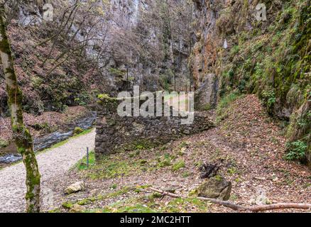 Canyon Rio Sass - Fondo (Borgo d'Anaunia) -  Non Valley - Trentino Alto Adige - northern Italy: a scenic excursion among narrow rock walls. Stock Photo
