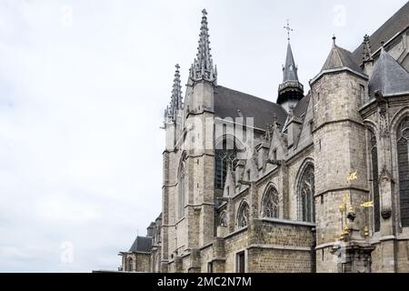 Architectural detail of the Saint Waltrude Collegiate Church, a Catholic parish church in Belgium, named in honor of the patroness of the city of Mons Stock Photo