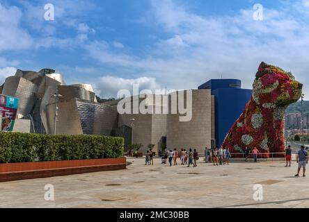 Guggenheim Modern Art Museum, Bilbao, Basque Country Stock Photo