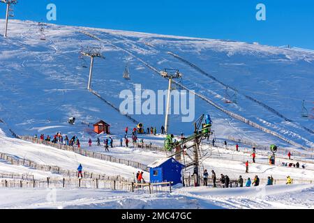 Lecht Ski Centre Cairngorms National Park Scotland deep snow colourful skiers and the Snowy Owl Chair lift Stock Photo