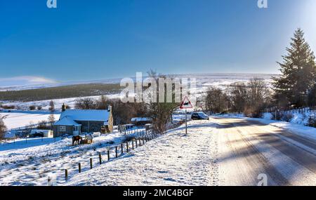 Tomintoul Moray Scotland Glenlivet Estate winter with horses and snow covered house road and hills in January Stock Photo