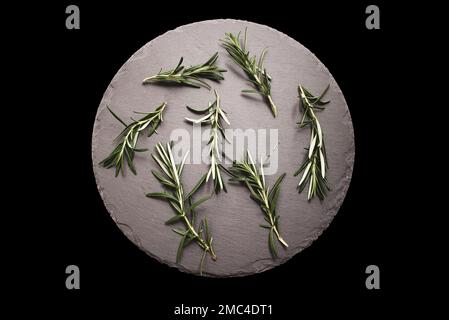 Rosemary herb on a gray stone board in a round shape on a black background Stock Photo