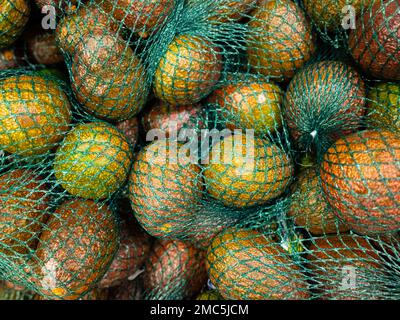 Pile of avocados in green nets Stock Photo