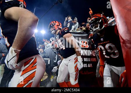 Cincinnati Bengals tight end Mitchell Wilcox (84) and cornerback Cam Taylor- Britt (29) take the field before an NFL wild-card football game against the  Baltimore Ravens on Sunday, Jan. 15, 2023, in Cincinnati. (