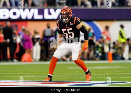 Cincinnati Bengals linebacker Logan Wilson (55) smiles from the sidelines  during an NFL football game against the Carolina Panthers, Sunday, Nov. 6,  2022, in Cincinnati. (AP Photo/Emilee Chinn Stock Photo - Alamy