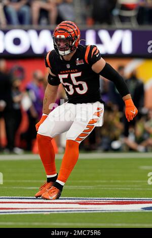 Cincinnati Bengals linebacker Logan Wilson (55) smiles from the sidelines  during an NFL football game against the Carolina Panthers, Sunday, Nov. 6,  2022, in Cincinnati. (AP Photo/Emilee Chinn Stock Photo - Alamy