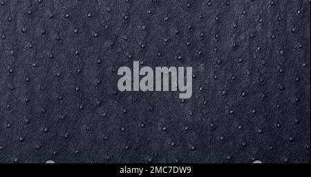 Real ostrich leather pattern background Stock Photo - Alamy