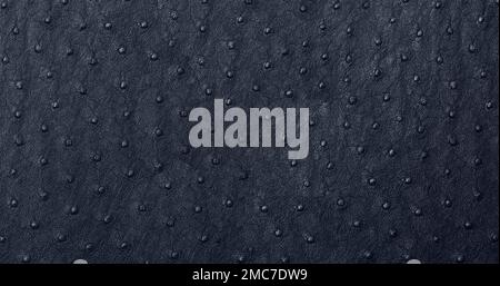 Genuine ostrich leather skin dyed blue Stock Photo - Alamy