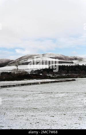 Winter in the cheviot hills, Northumberland, UK Stock Photo