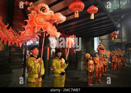 Edinburgh Scotland, UK 21 January 2023. The Chinese New Year Festival celebrations outside the Usher Hall ahead of the Official Chinese New Year Concert . credit sst/alamy live news Stock Photo