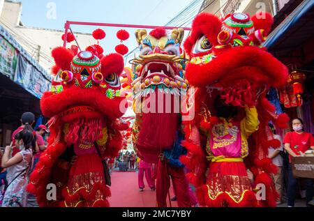 2023 Lunar New Year Celebrations - Chinatown BIA