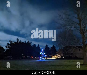 A beautiful shot of decorated with colorful lights Christmas tree in the field surrounded by pine trees under cloudy sky Stock Photo