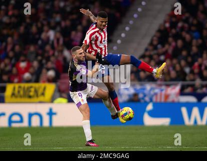 Madrid, Spain. 21st Jan, 2023. 21 January 2023; Civitas Metropolitano Stadium, Madrid, Spain: La Liga Santander football, Club Atletico de Madrid vs Valladolid. 900/Cordon Press Credit: CORDON PRESS/Alamy Live News Stock Photo