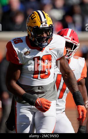 LSU Football: Damone Clark among the top players for Senior Bowl