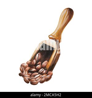 Watercolor illustration of wooden scoop for coffee with some coffee beans. Hand painting on a white isolated background. For designers, menu, shop Stock Photo