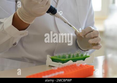 Scientist using micropipette transfer sample into micro well plate. Biosafety pharmaceutical, coronavirus and health concept. Stock Photo