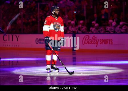 Florida Panthers left wing Anthony Duclair takes the puck down the ice  during the third period of an NHL hockey game against the New Jersey  Devils, Thursday, Nov. 18, 2021, in Sunrise