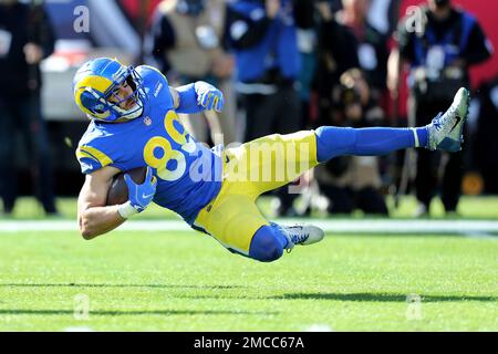 Rams' Tyler Higbee faces his hometown Bucs in divisional round