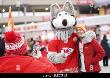 Kansas City, MO, USA. 14th Dec, 2014. Kansas City Chiefs mascot KC Wolf  sits with Oakland Raiders fans during the NFL game between the Oakland  Raiders and the Kansas City Chiefs at